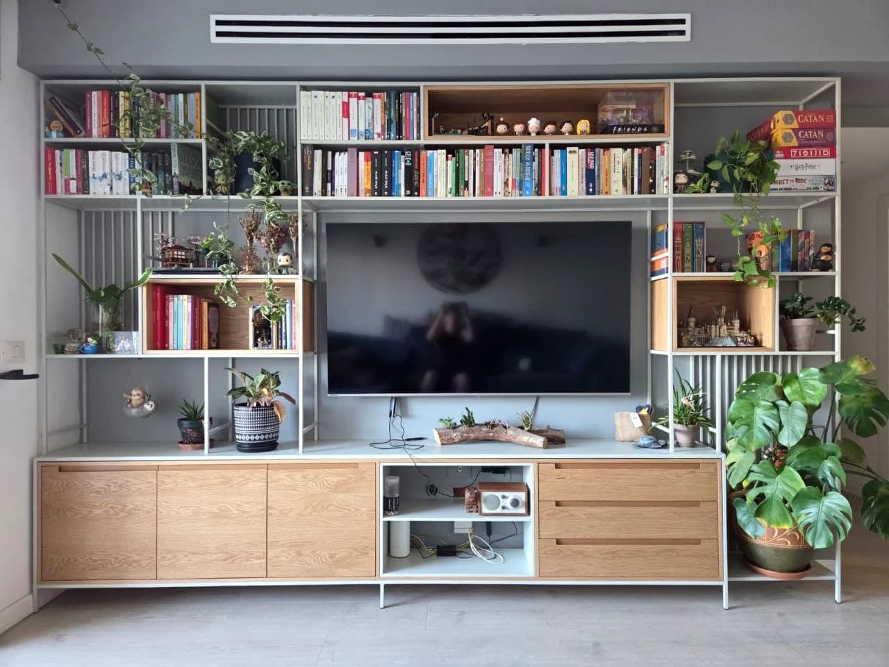 מערכת קיר מעוצבת לטלוויזיה עם ספרים צמחים אחסון ומדפי תצוגה